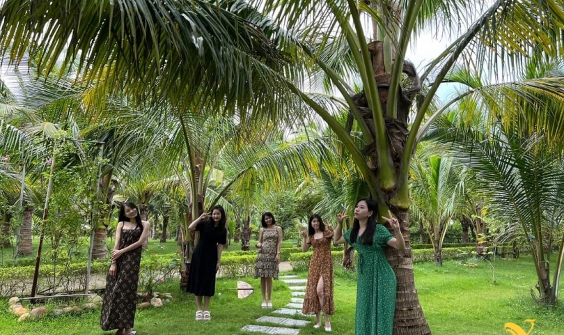 Check in - Sống ảo